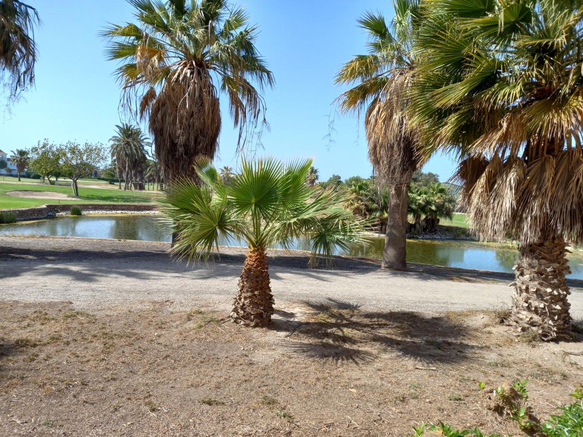 Apartamento Golf Roquetas de Mar Dış mekan fotoğraf